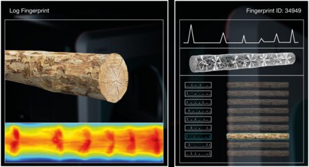 Log fingerprint