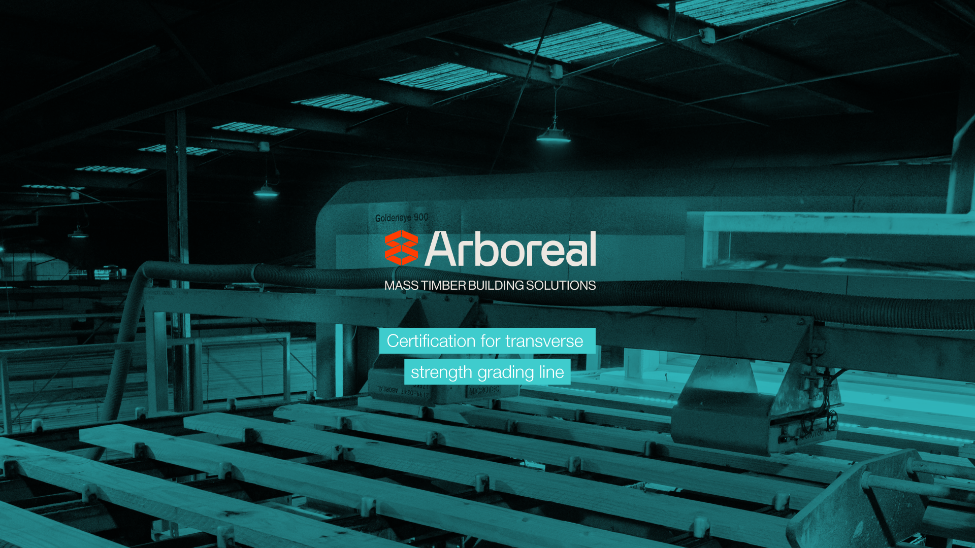 Transverse Strength Grading: Goldeneye, Viscan and Denscan at Arboreal